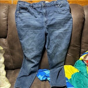 Terra & Sky Navy Skinny Jeans